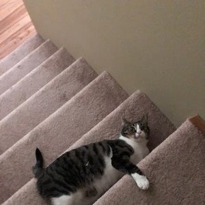 Meet your Posher, Elise